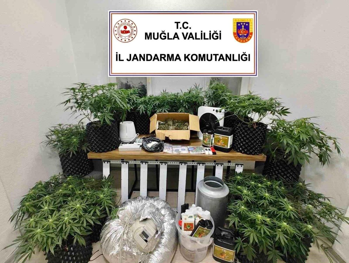 Bodrum\'da Uyuşturucu Operasyonu: 2 Gözaltı