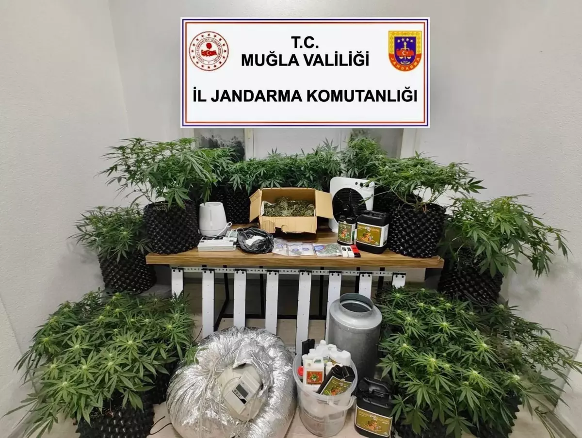 Bodrum\'da Uyuşturucu Operasyonu