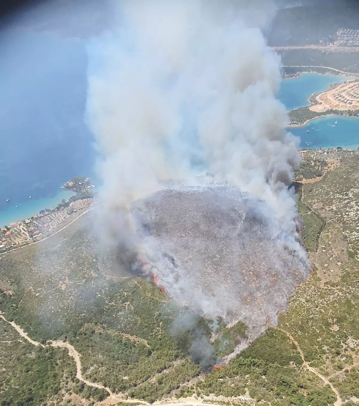 Karaburun Ormanında Yangın