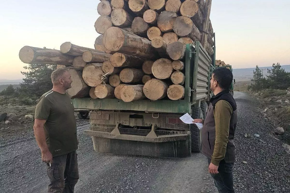 Bolu\'da Kaçak Ağaç Kesimine 4 Sanığa Hapis Cezası