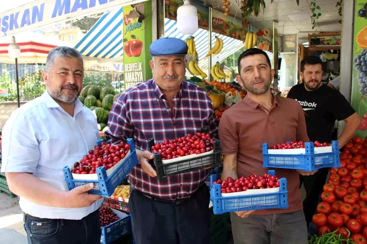 Amasya\'da Kiraz Yarışması İptal Edildi