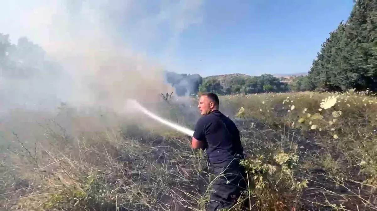 Bodrum\'da Otluk Alanda Yangın Kontrol Altına Alındı
