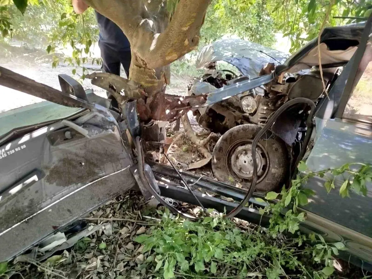 Nazilli\'de Otomobil Ağaca Çarptı: Sürücü Yaralandı