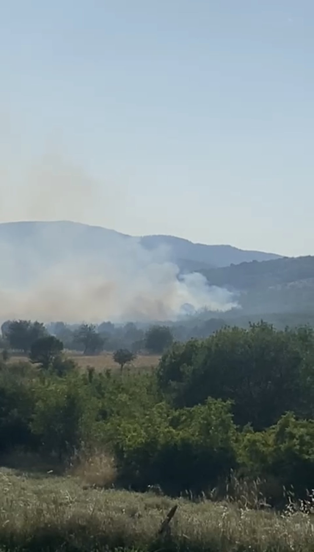 Balıkesir'de tarım arazisinde yangın! Alevlere müdahale devam ediyor