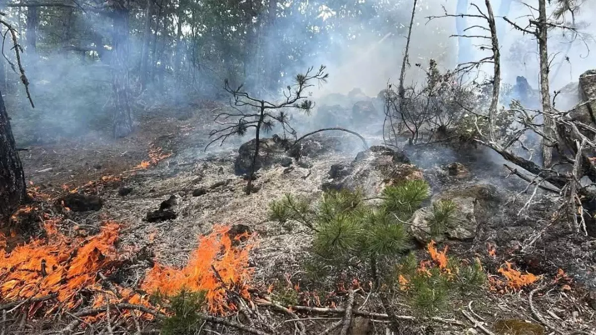 Kastamonu\'da Orman Yangını Kontrol Altına Alındı