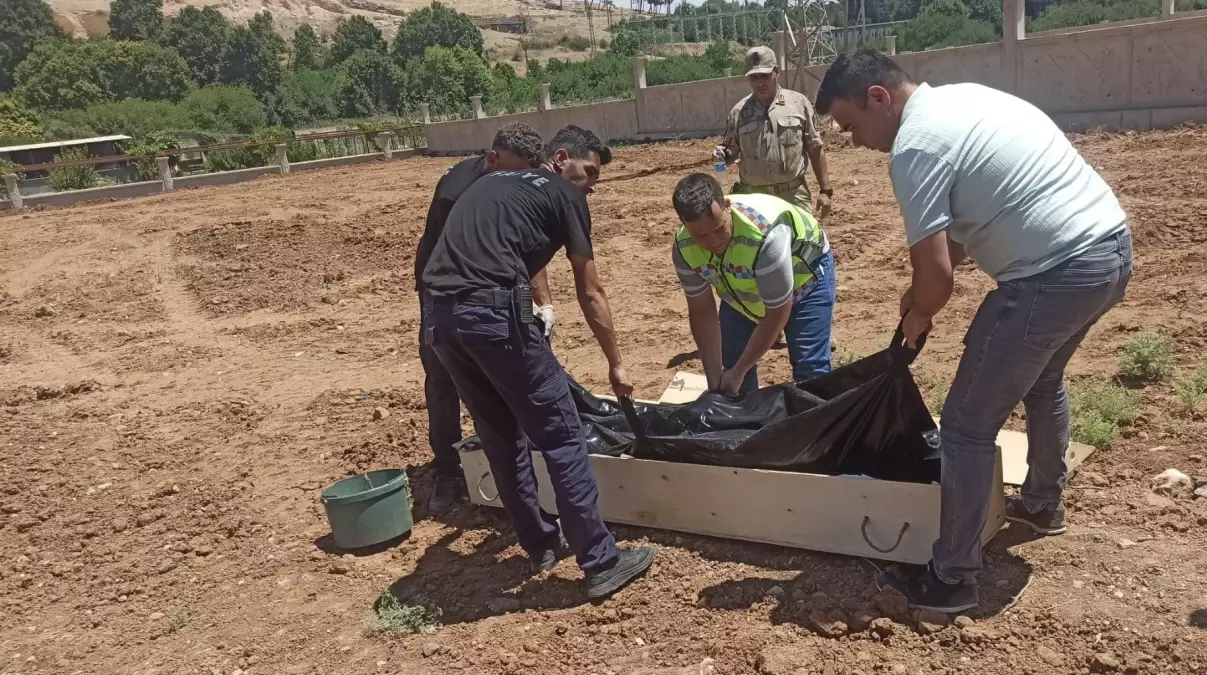 Mardin\'de Trafik Kazası: Genç Hayatını Kaybetti