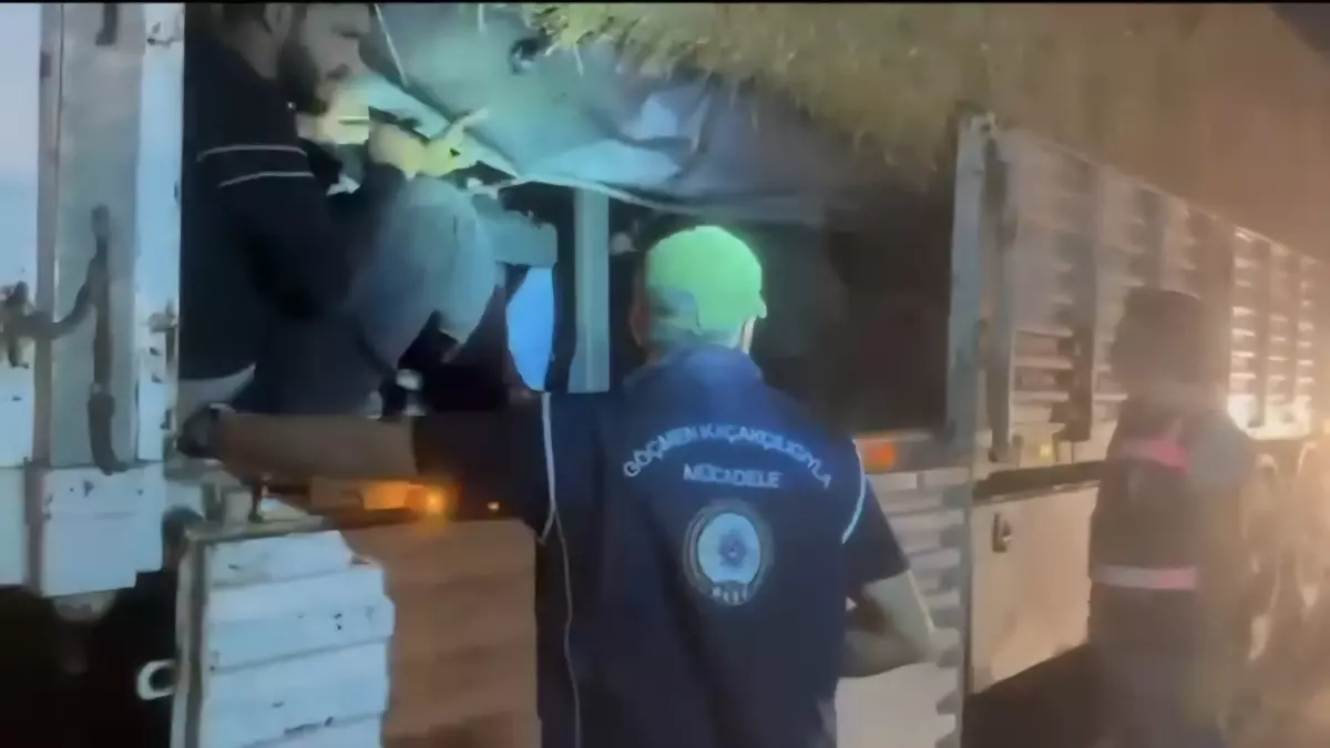 Hatay\'da 31 Kaçak Göçmen Yakalandı