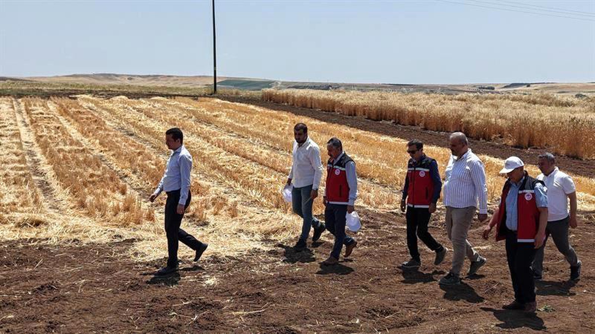 Tohumculuk Faaliyetleri İncelendi