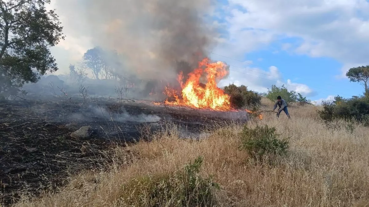 Çanakkale\'de Orman Yangını Soruşturması: 6 Gözaltı