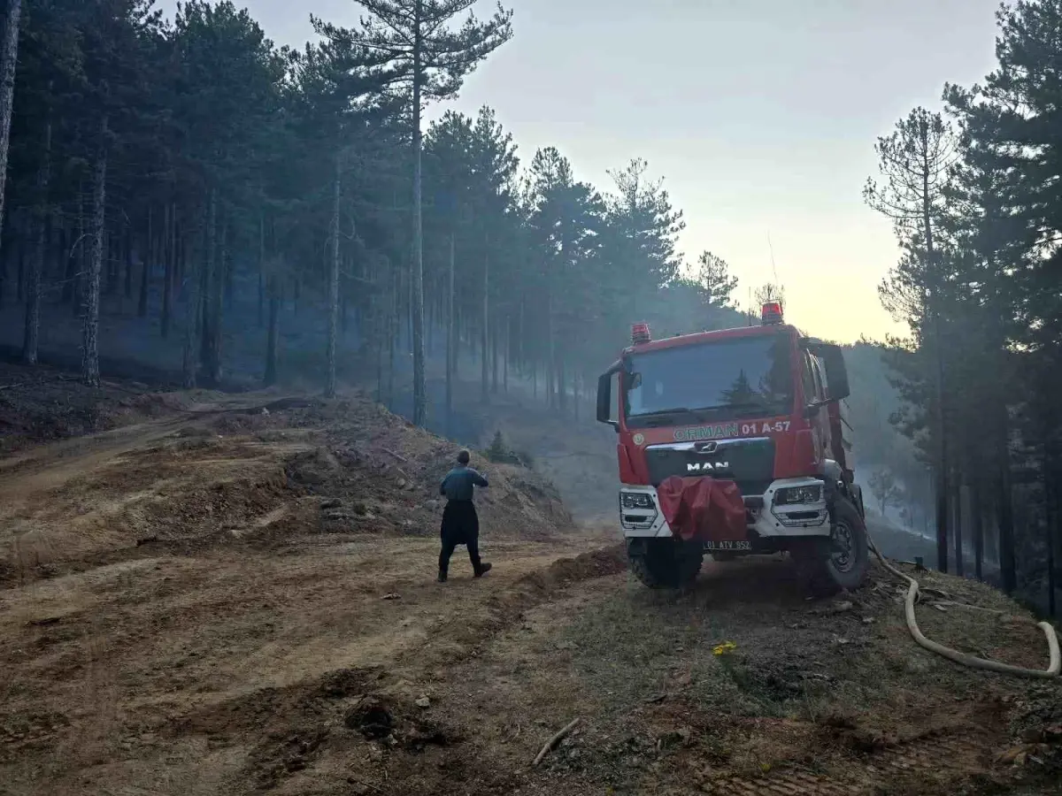 Adana\'da Orman Yangını Kontrol Altına Alındı