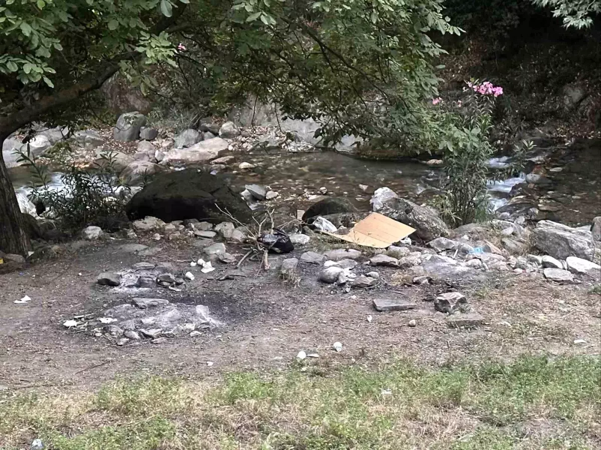 Ormana Girip Mangal Yakan 3 Kişiye Cezai İşlem
