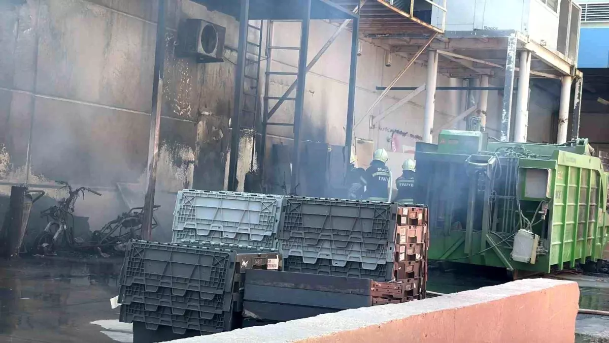 Bodrum\'da Yangın Paniği