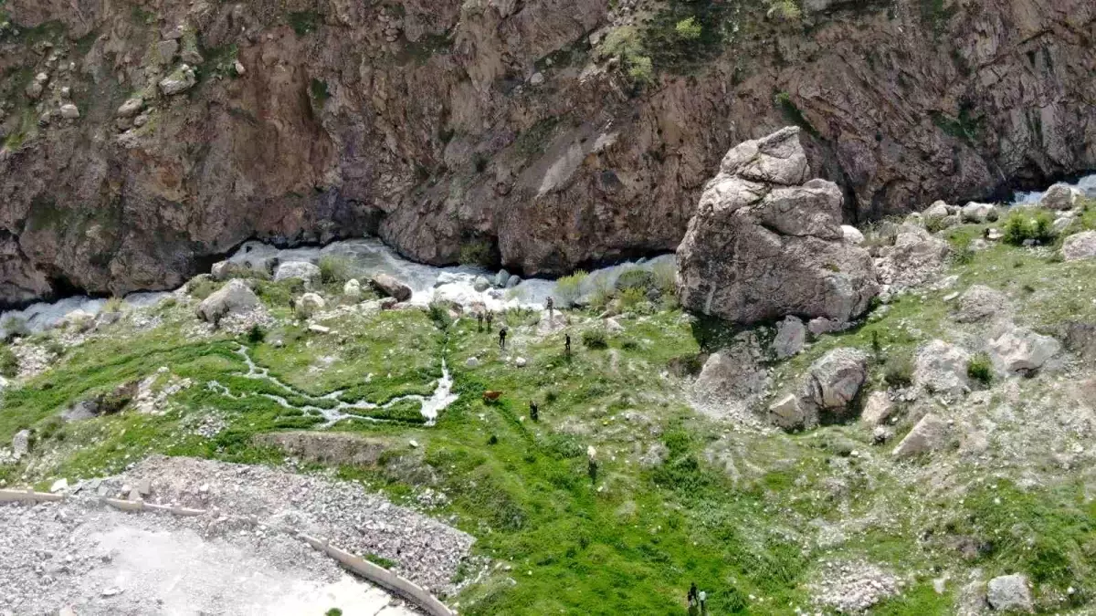 Hakkari\'de Kayıp Feleknaz Keskin İçin Arama Başlatıldı