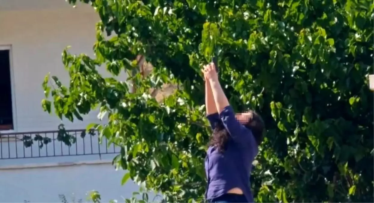 Çankırı\'da Kıskançlık Krizi: Silahlı İntihar Girişimi