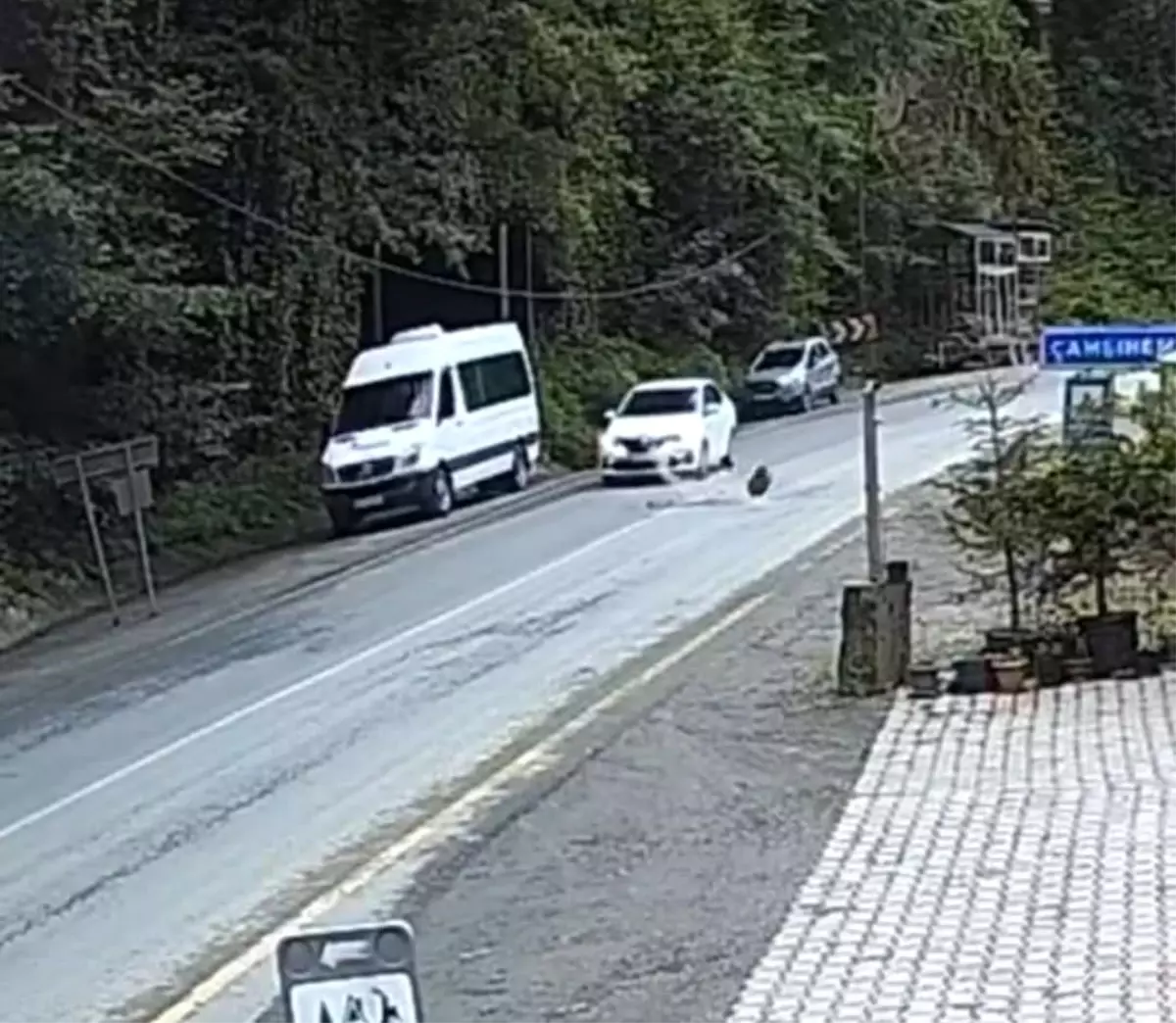 Rize\'de Kaya Otomobilin Önüne Düştü