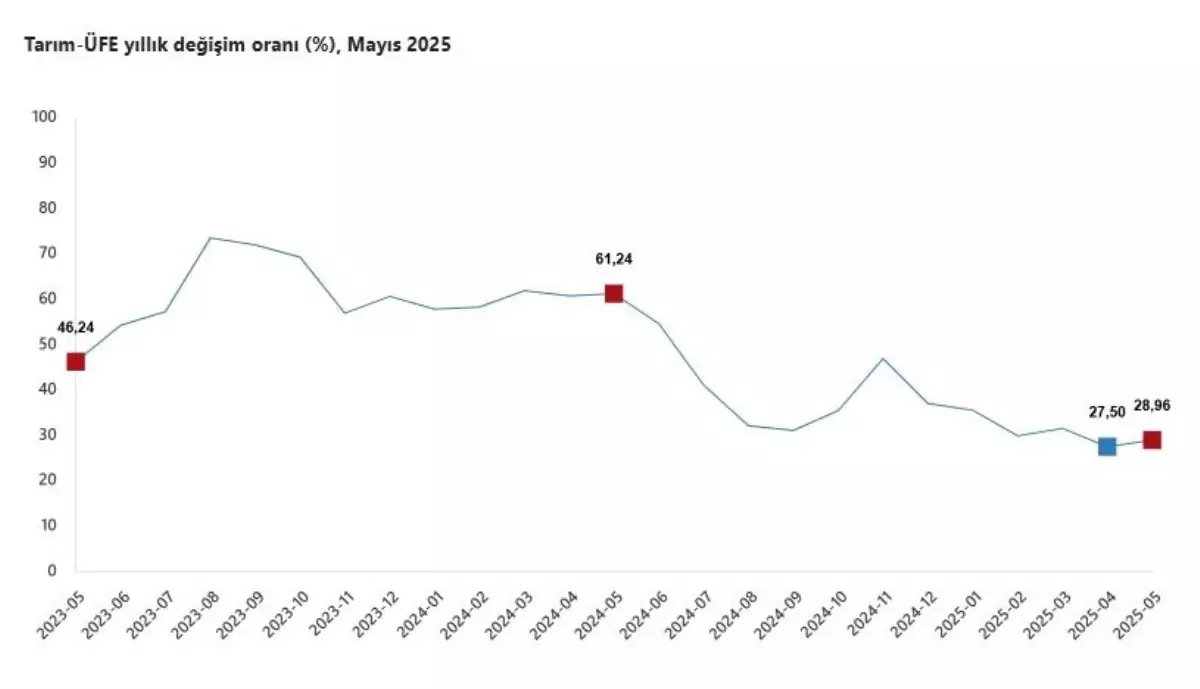 Tarım Ürünleri Fiyatları Mayıs\'ta Arttı