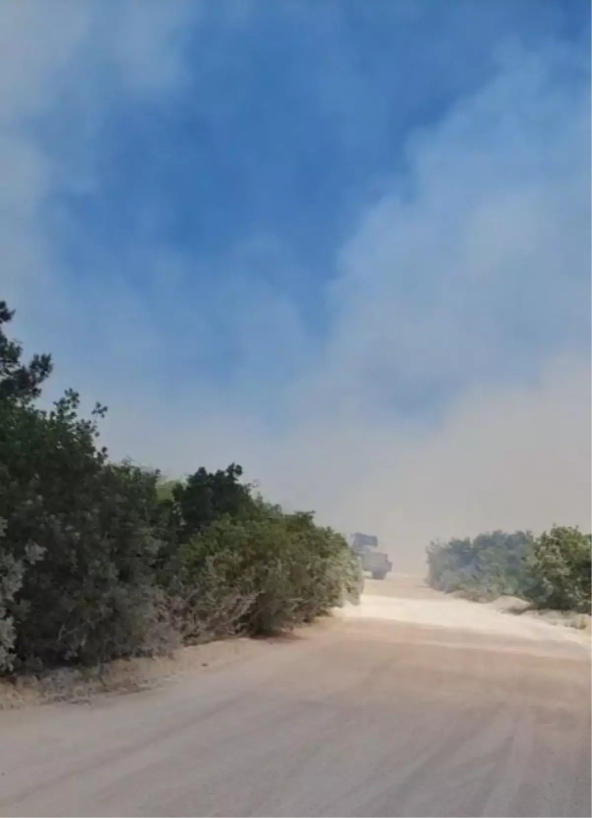 Bursa\'da Orman Yangını