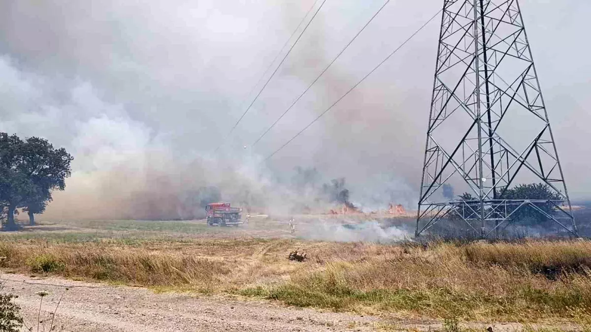 Çanakkale\'de Tarım Arazisinde Yangın