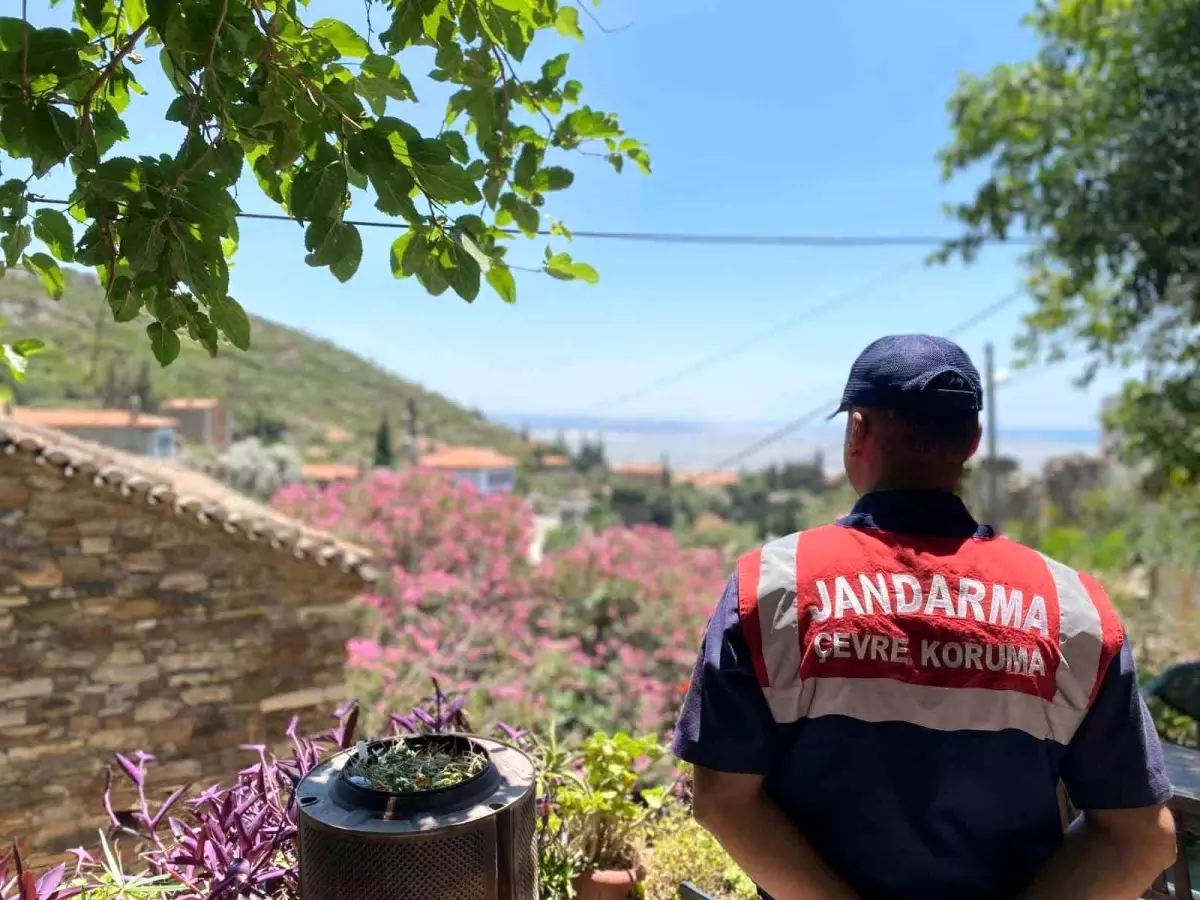 Aydın\'da Orman Yangınları İçin Bilgilendirme