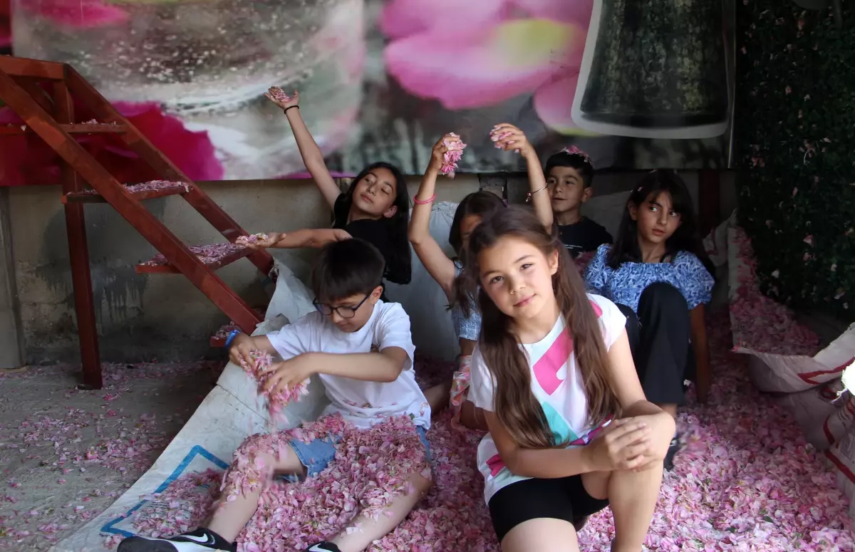 Isparta\'da Gül Hasadı Turizmi