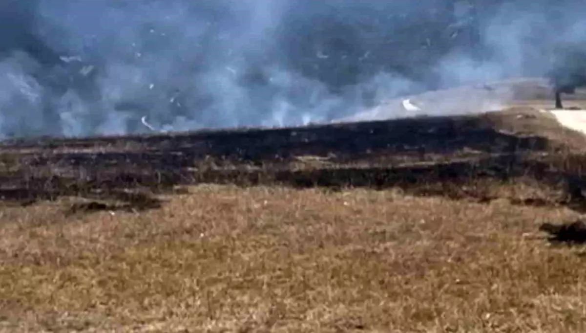 Karabük\'te Anız Yangını: 1 Dönüm Arazi Zarar Gördü