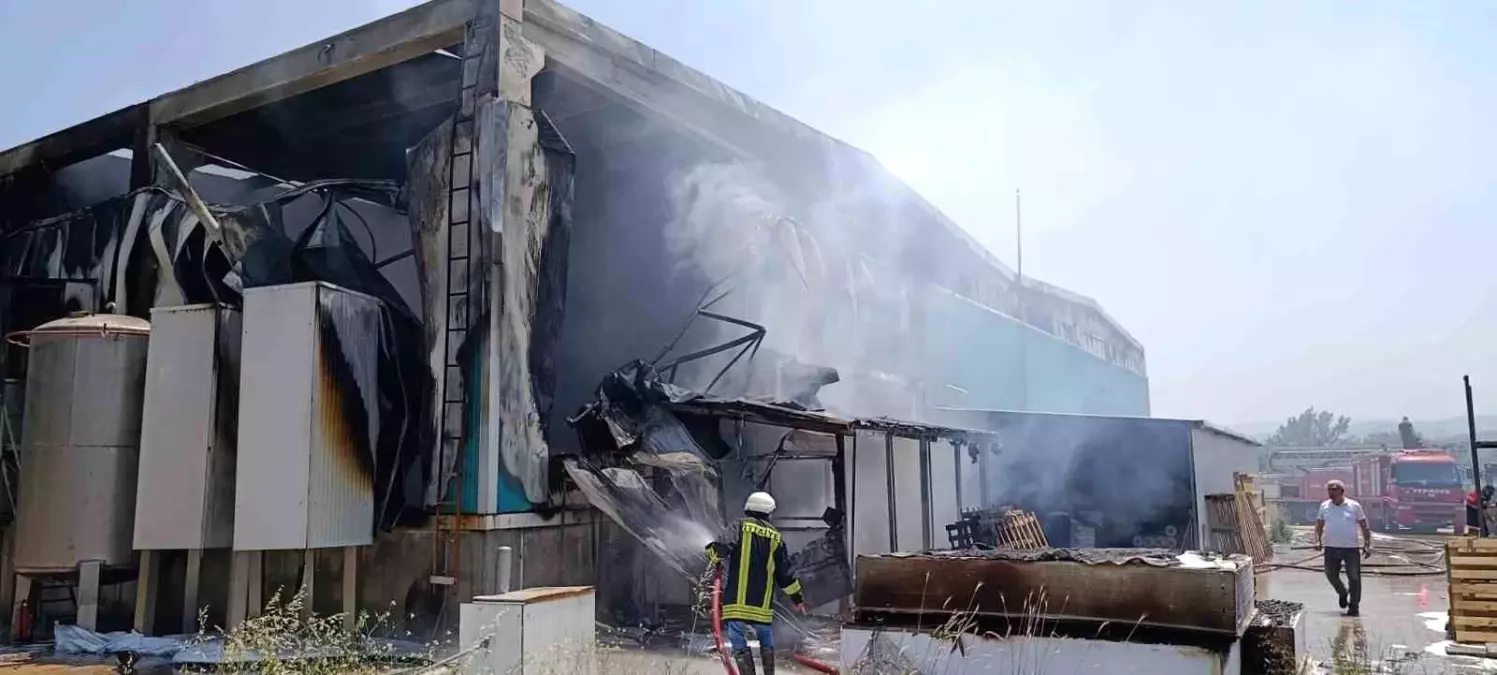 Çanakkale\'de Fabrika Yangını: 1 Ağır Yaralı