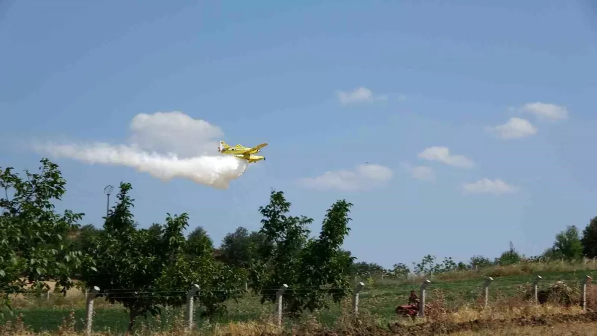 Çanakkale\'de Tarım Arazi Yangını Ormana Sıçradı