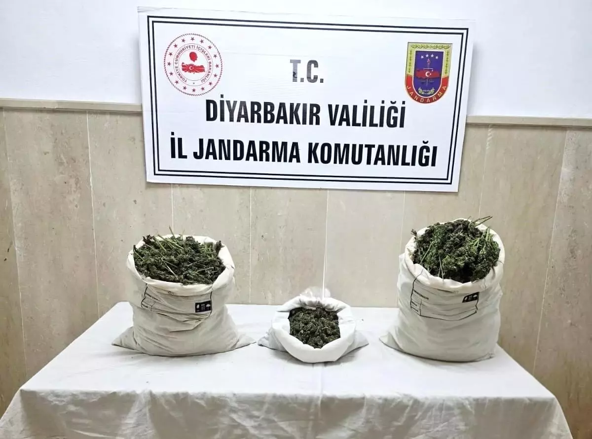 Diyarbakır\'da Kenevir Operasyonu