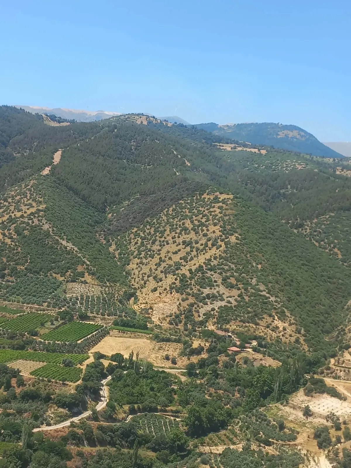 Alaşehir\'de Orman Yangını