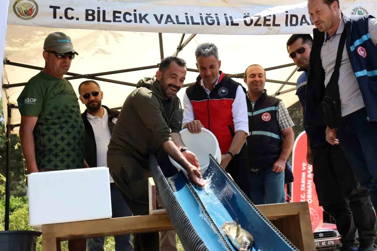 Bilecik\'te Anaç Sazan Balığı Salımı Yapıldı