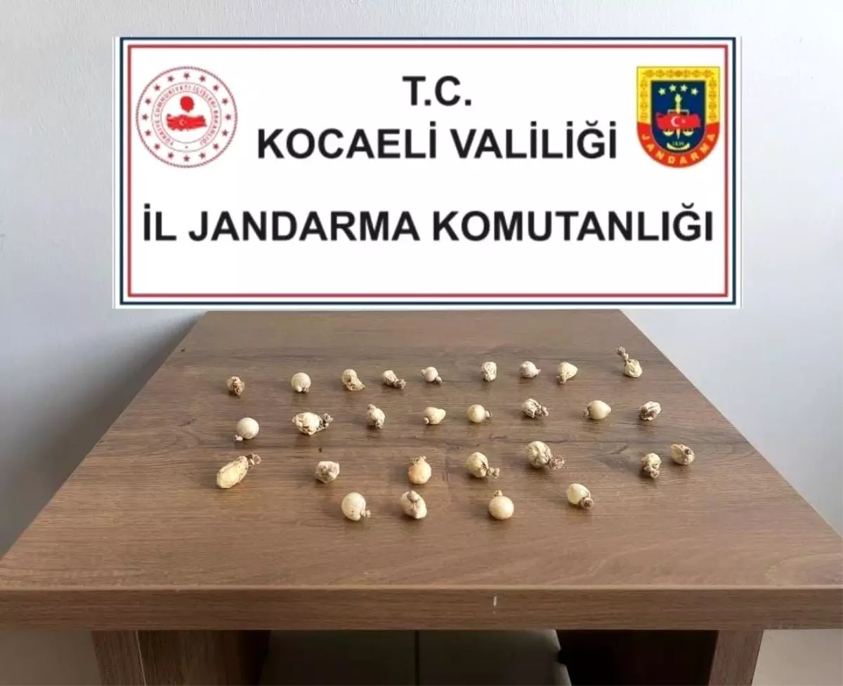 Körfez\'de Uyuşturucu Çıktı