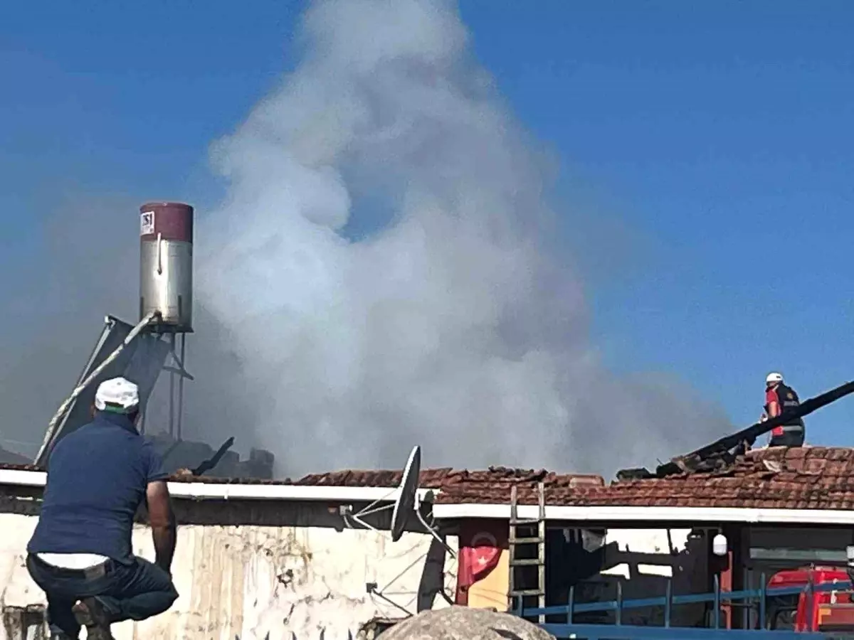 Yozgat\'ta Ahır Yangını