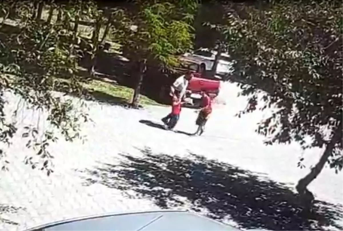 Köpek Saldırısında Çocuk Son Anda Kurtarıldı
