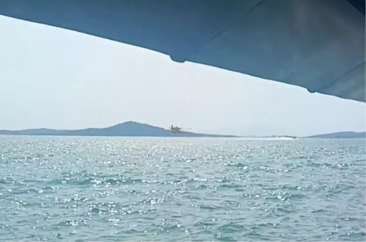 Ayvalık\'ta Zeytinlikte Yangın