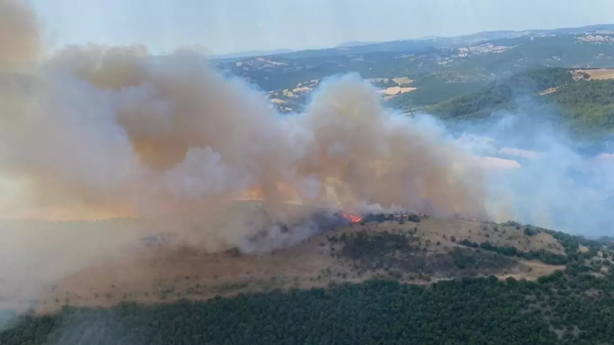 Balıkesir\'de orman yangını kontrol altına alındı