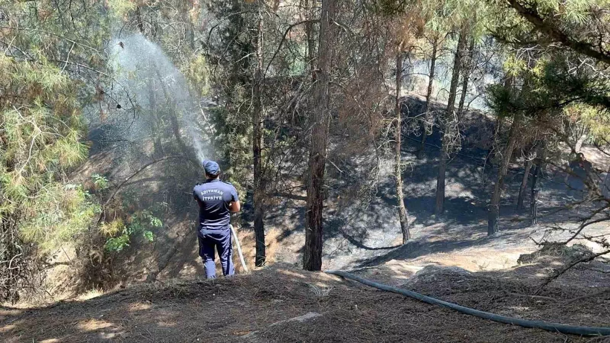 Adıyaman\'da Yangın Çıkardılar