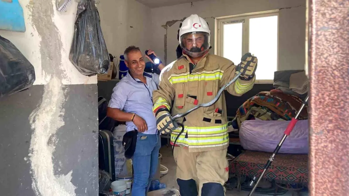 Hatay\'da Yılanın Yola Çıkması İtfaiye Ekiplerini Güldürdü