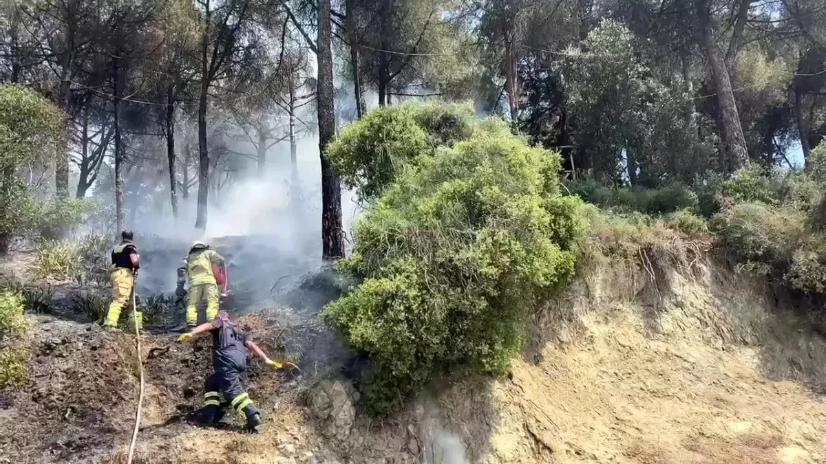 Gemlik\'te Yangın Kısa Sürede Söndürüldü