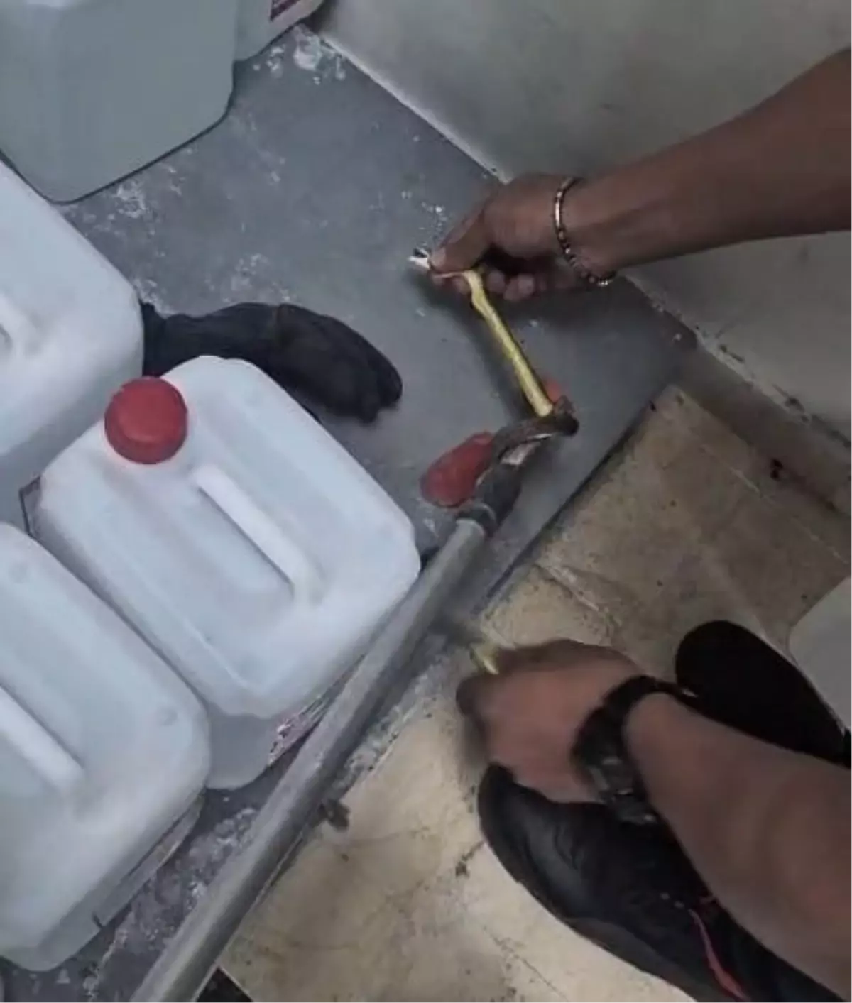 Amasya\'da Hastanede Yılan Paniği