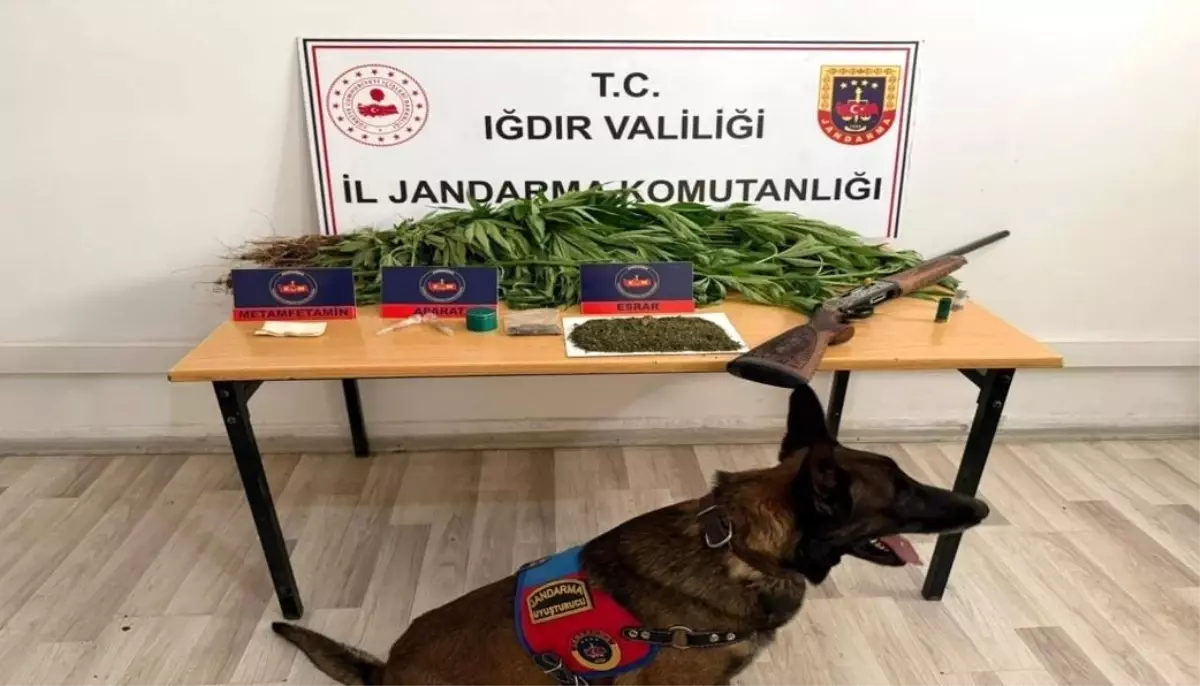 Iğdır\'da Uyuşturucu Operasyonu: 1 Tutuklama
