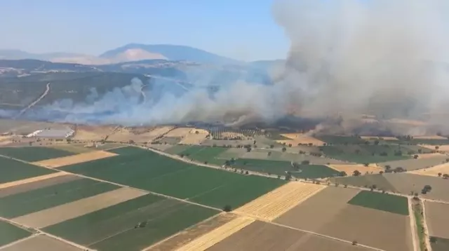 İzmir'de orman yangını: Havadan ve karadan müdahale ediliyor