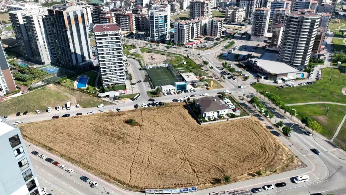 Nilüfer\'de Tarım ile Modern Yaşamın Mücadelesi