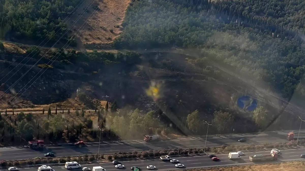 İzmir\'de Tır Yangını Ormanı Tehdit Ediyor