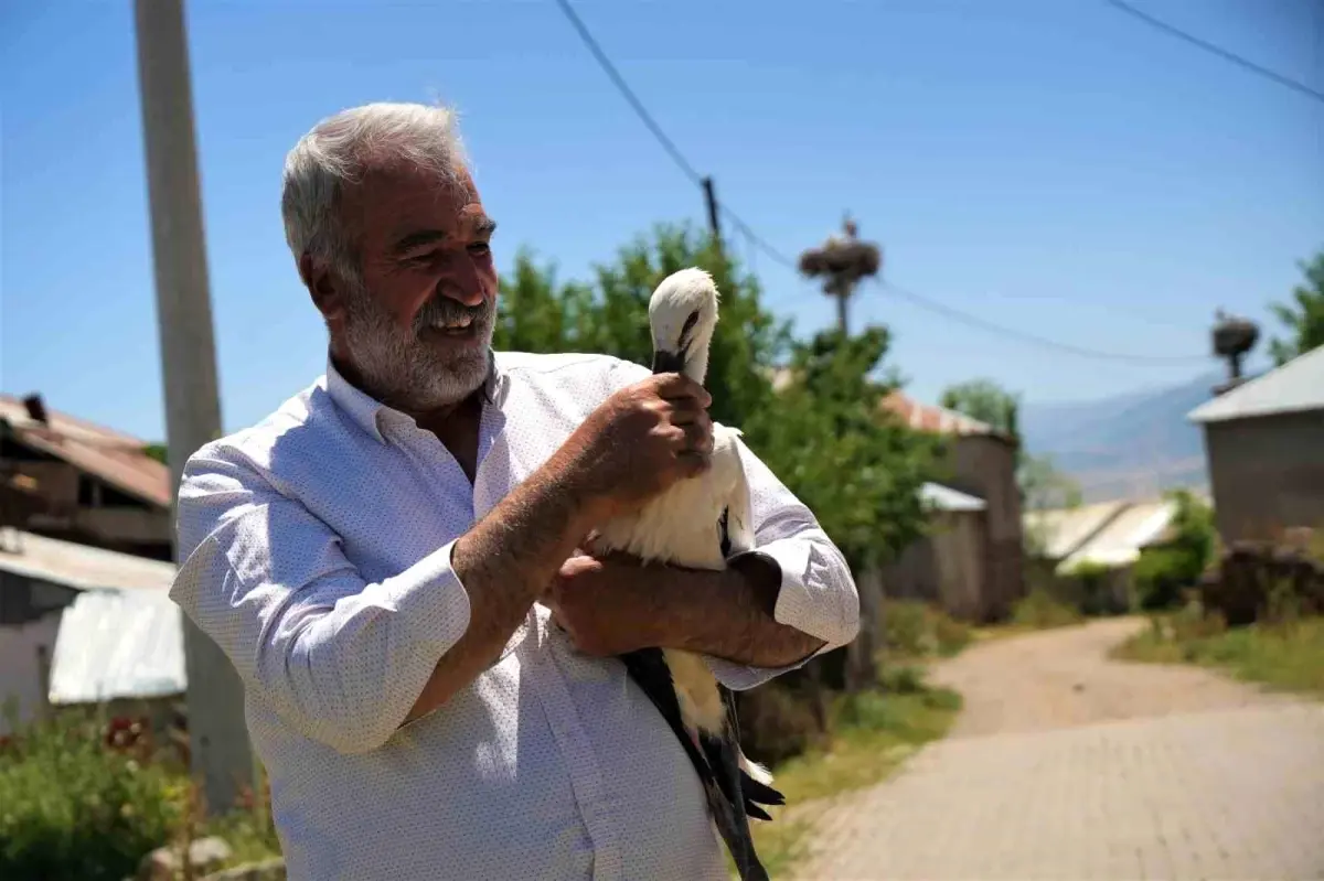 Yelalan Köyü\'nde Leylek Yavrusuna Yardım
