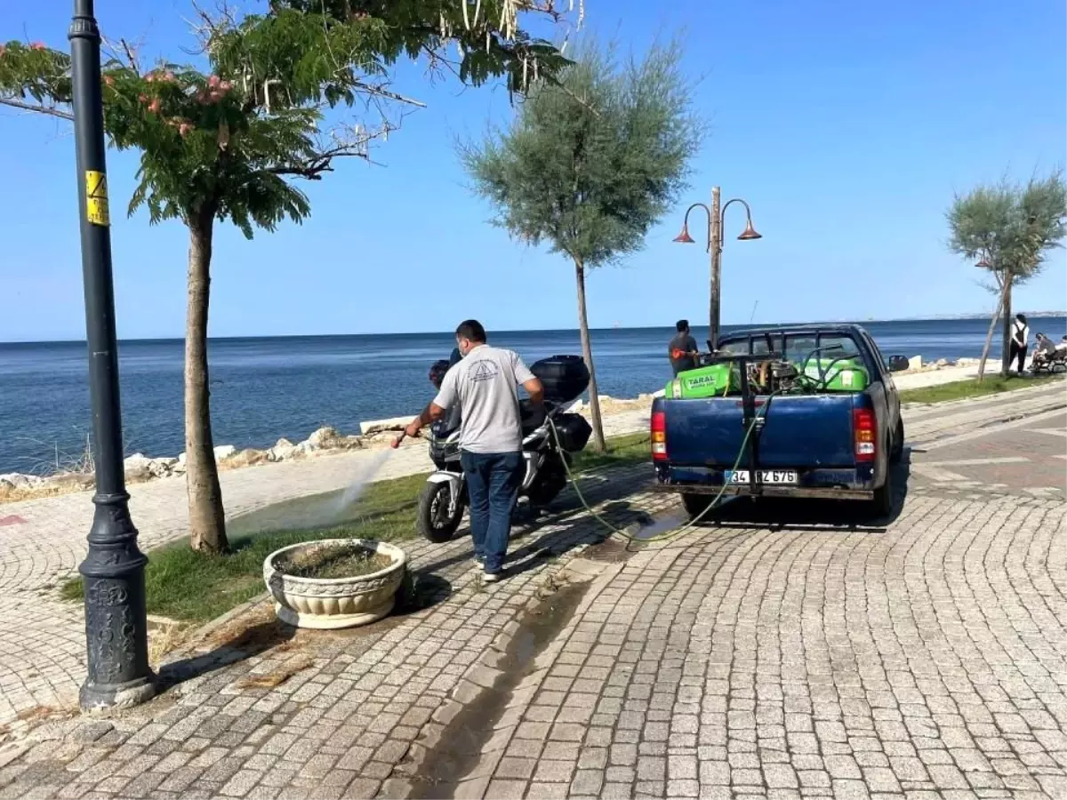 Silivri Belediyesi Yaz Aylarında Haşere İlaçlama Çalışmalarını Sürdürüyor