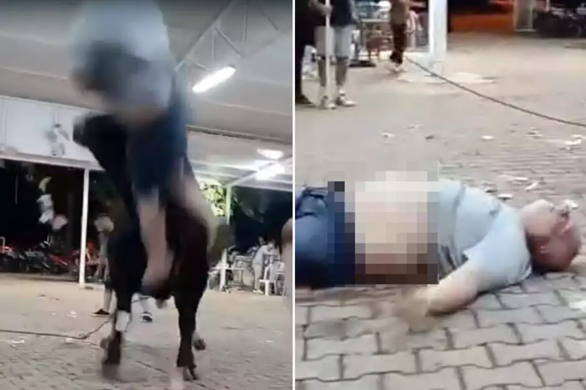 Yanına yaklaştığı boğa havaya fırlattı