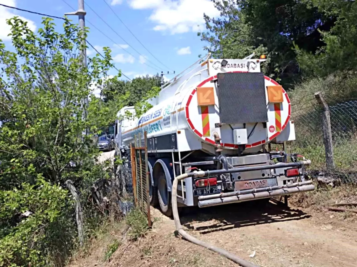 Bursa\'da Anız Yangını: 25 Dönümlük Alan Kül Oldu