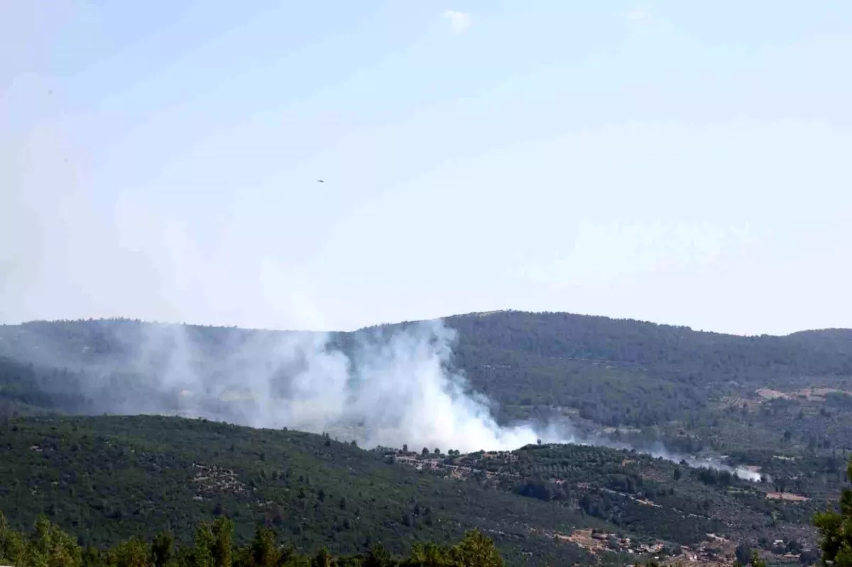 Muğla\'da Zeytinlik Alanda Yangın Kontrol Altına Alındı