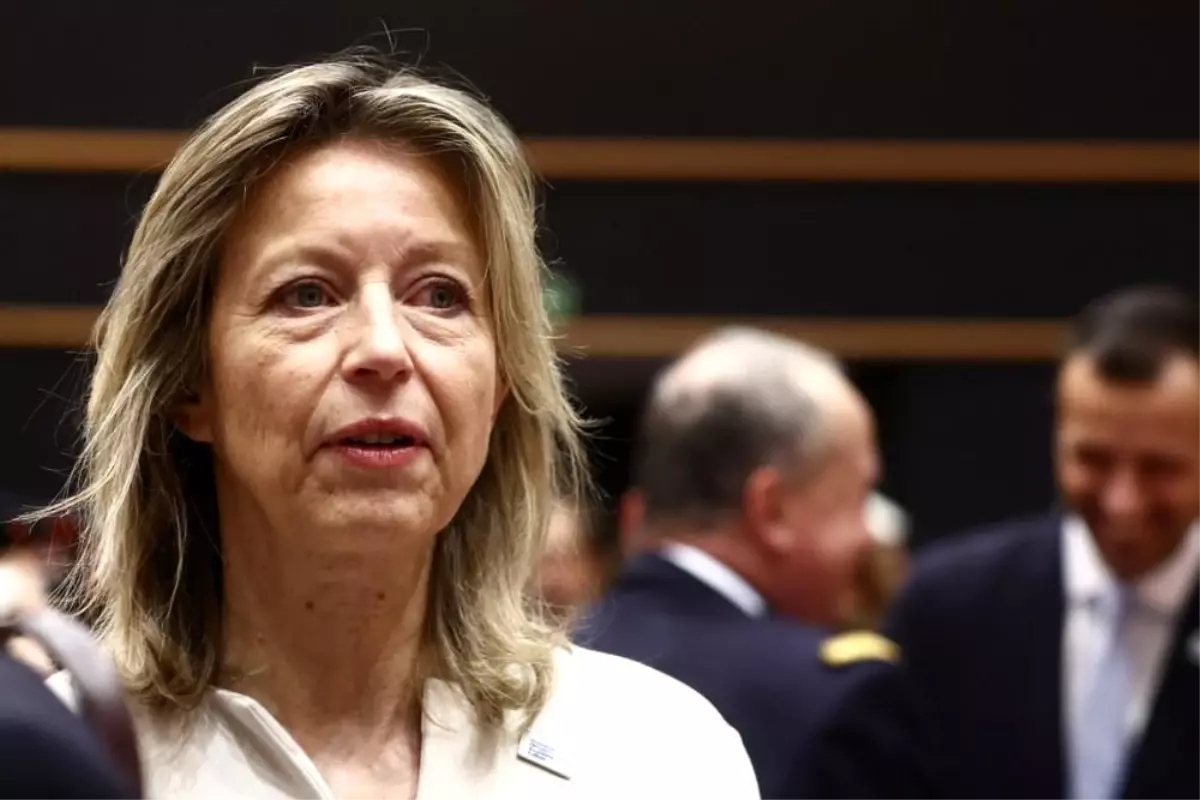 AB İnsan Hakları Temsilcisi Kajsa Ollengren Atandı