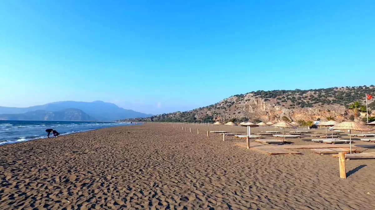 Caretta Caretta \'Güzel İzmir\' Sinyali Kesildi